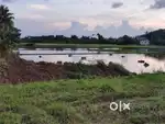 Own property for sell