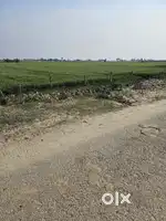 Agriculture land , Budaun Bareilly, intermediate School for Sell