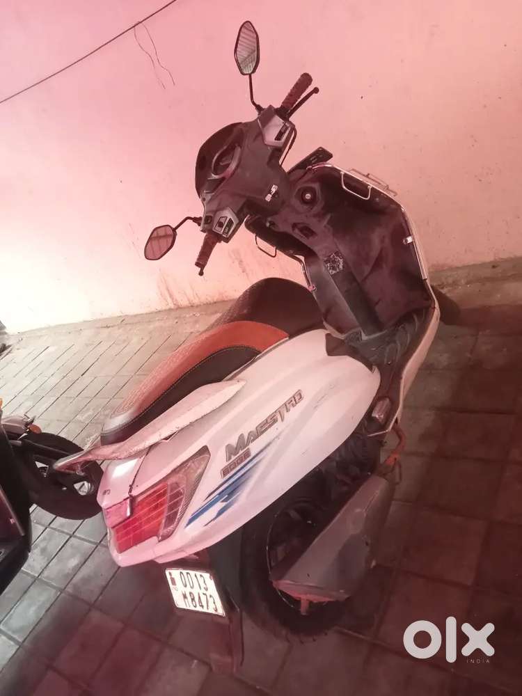 Nankar dolphin office