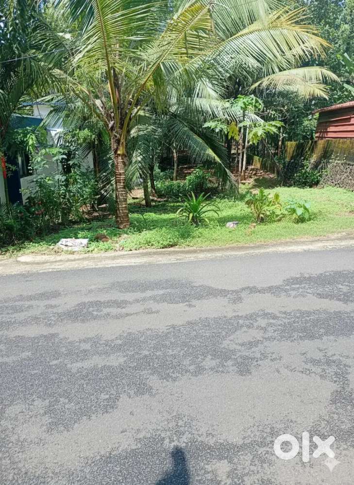 47 Cents  Main Road Facing Plot Meenadom, Malikappadi Jn (Only 400m)