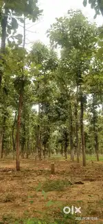 Open plots for sale Yadatri