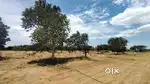 Low budget Plots in Trichy