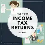 Income tax return, Tax Audit