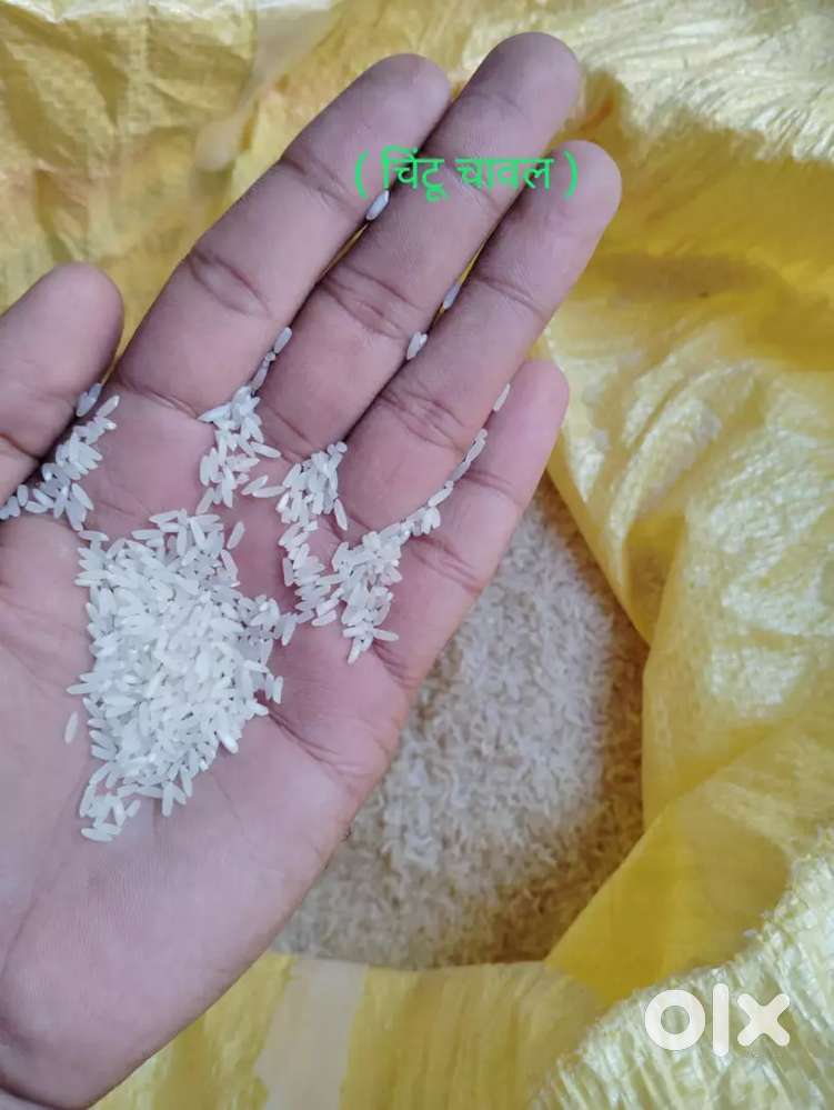 Chintu rice ( चिंटू चावल ) and Sambha Rice ( सांभा चावल )