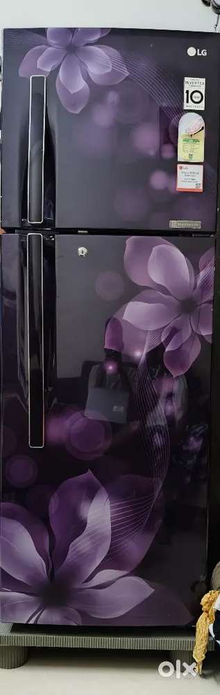 LG DUAL DOOR