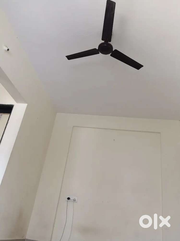 1 female flatmate need
