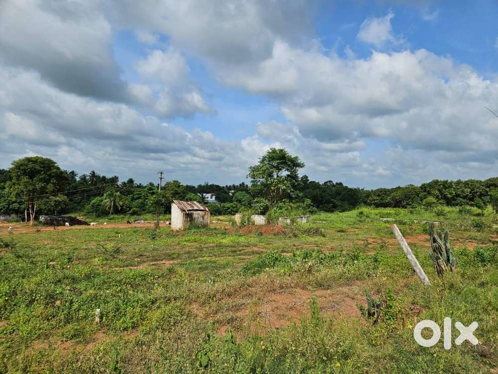 Land for sale in Elappully, Palakkad