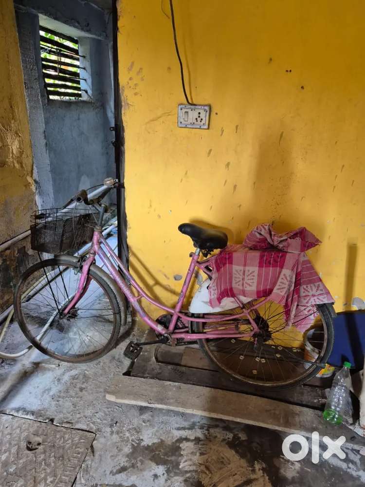 Ladybird ladies bicycle