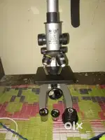 Student compound microscope