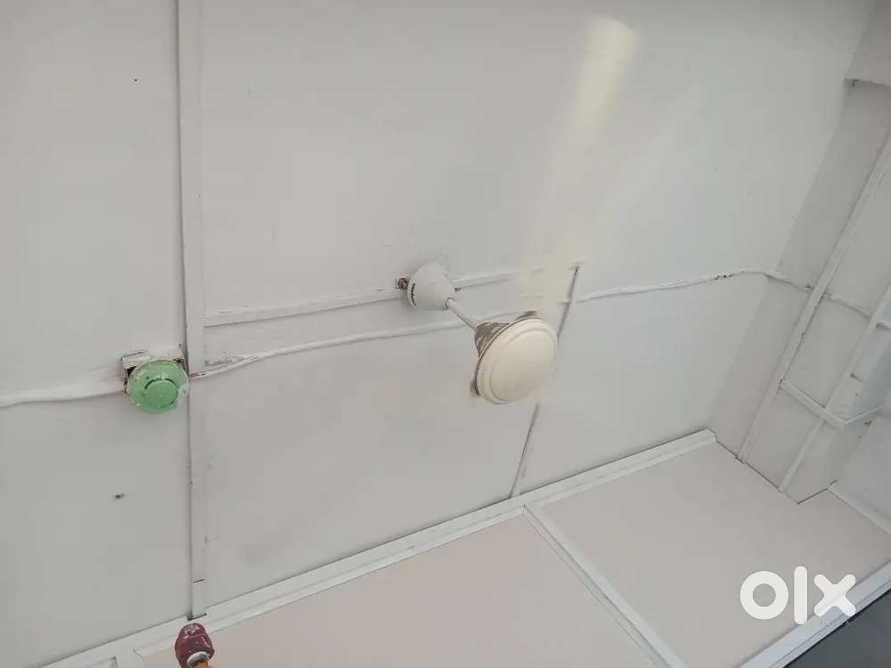 Ceiling fan of Crompton and bajaj