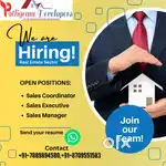 Sales executive & Sales Manager