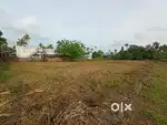4,5, 10 CENT PLOT FOR SALE THATHAPPILLY N.PARAVUR