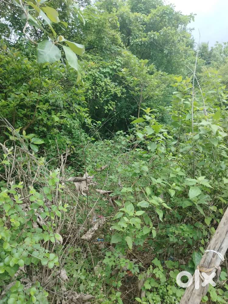 For Sale 2500m2 Plot on Old Church Road, Verna, South Goa