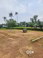 30 cent land for sale at Kakkanad Kangarappadi