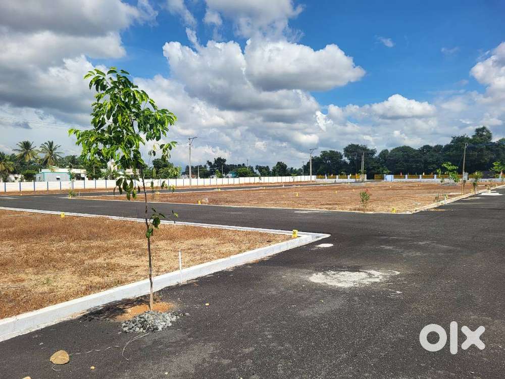 DTCP RERA PLOTS  LAND FOR SALE  PULIYAMPATTI BUSSTAND  1.5KM ONLY