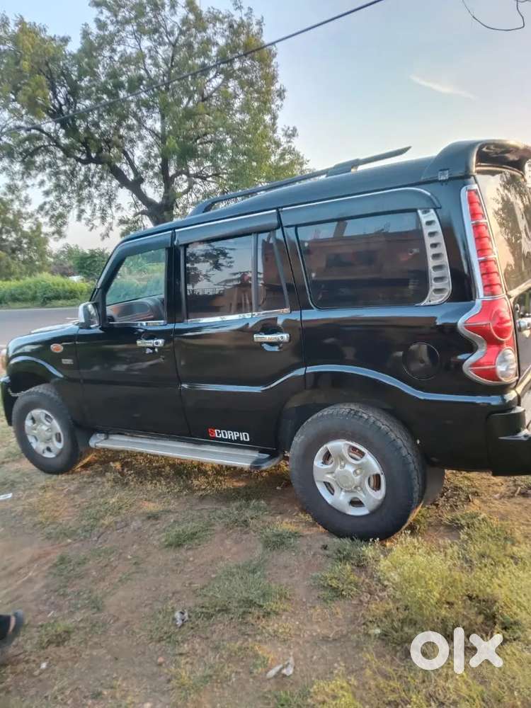 Model 2010.and 2029  killer