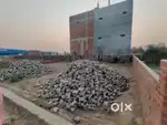 Plot and new house available in naini