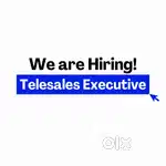 Telesales Executive