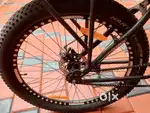 Rubicon cycle