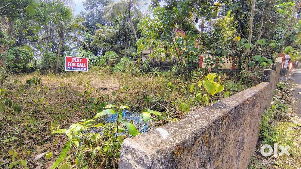 10 CENT INDIVIDUAL HOUSE PLOT SALE IN CHOTTANIKKARA