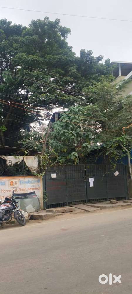 Satyanam Timbers Site