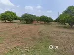 PLOTS FOR SALE NEAR IIT NARENDRA DHARWAD
