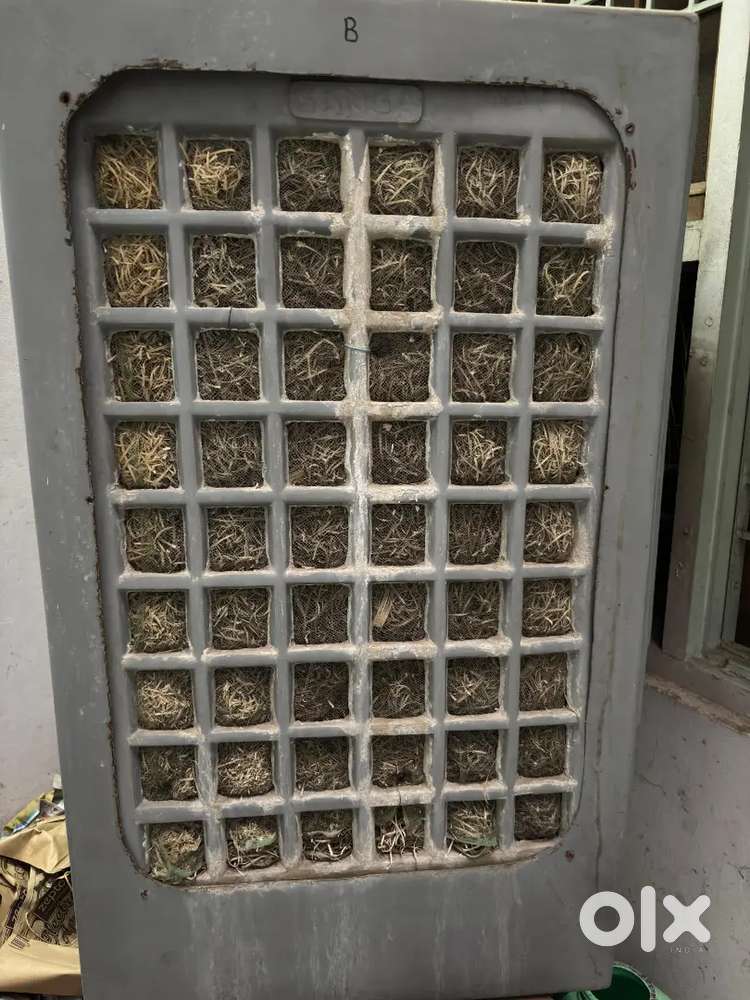 Air cooler