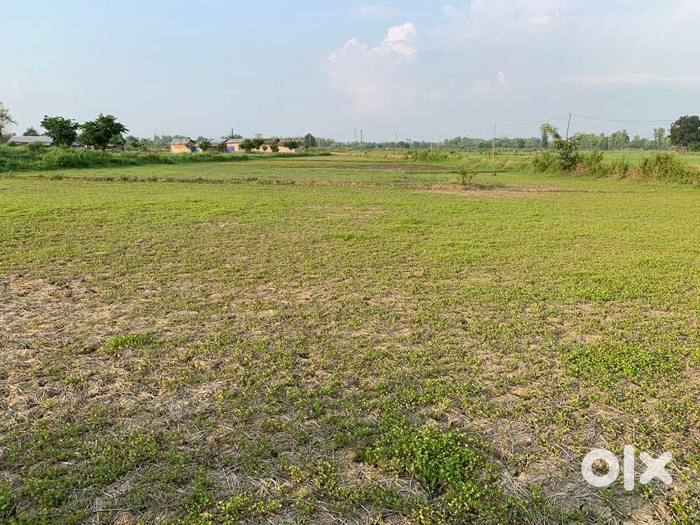 Land for sale at lotovi village dimapur