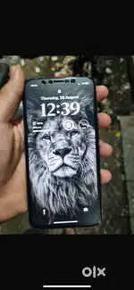 Ipjone x 256gb 100persent