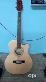New Hertz Guitar