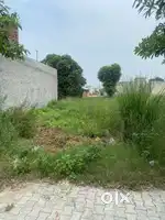 10malra plot for living in Green city