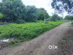 Loni kalbhor kadam vak vasti