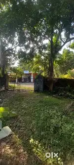 Residential plot for sale in Nandikulangara