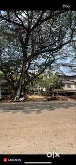 Land&plot commercial plot and residentail