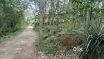 Property for sale near valakkadu