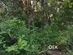 11 Cents Non Converted Land with Home for Sale