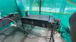 Tiffin items