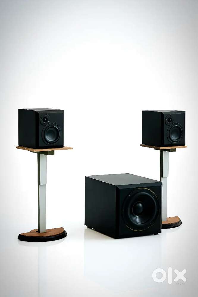 2.1 bookshelf speaker