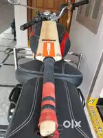 CRICKET BAT