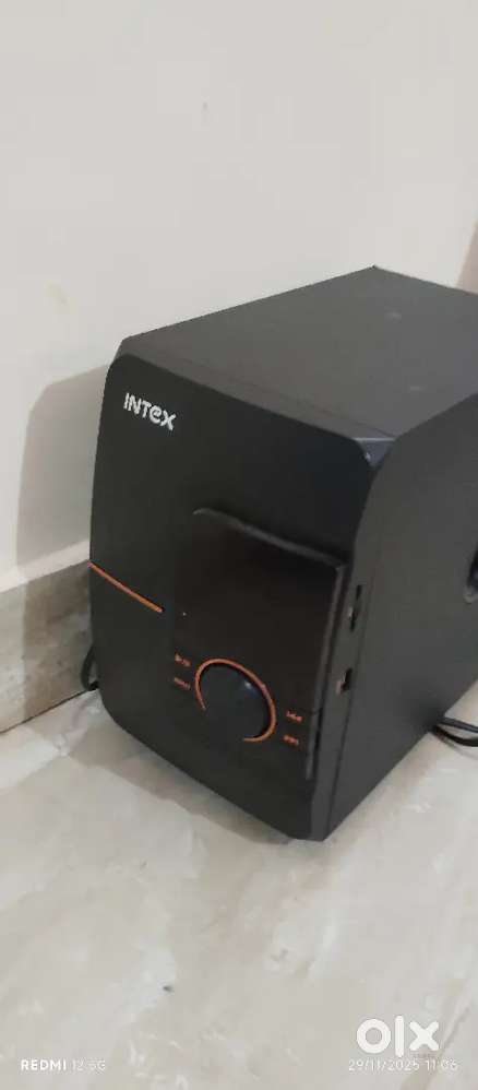 Intex woofer