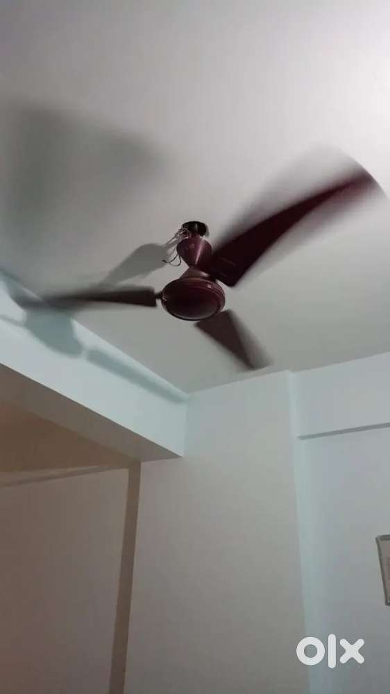 Quantity 2 ACC Selling Fan.