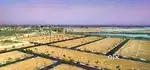Affordable Luxury: Residential Plots