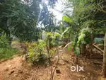 Plot sale in Tamilnadu