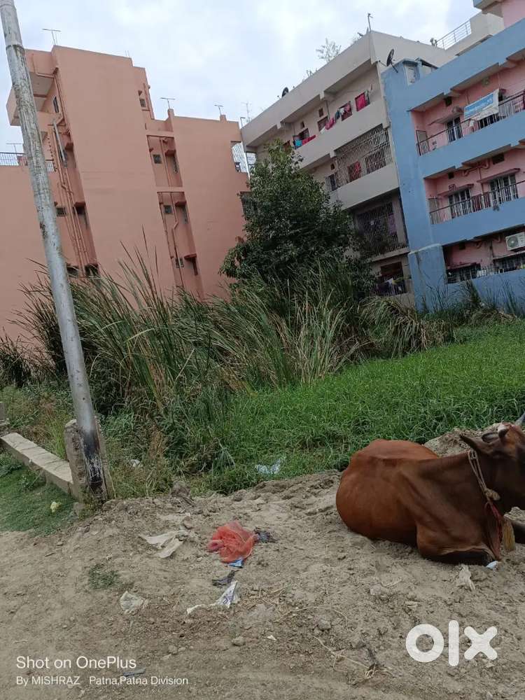 KANKARBAGH HANUMAN NAGAR HOUSING BOARD