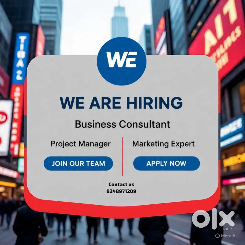 Wanted Team leader+ project director