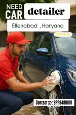 Need Car Detailing Boy