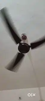 5 Month Old USHA Company Fan