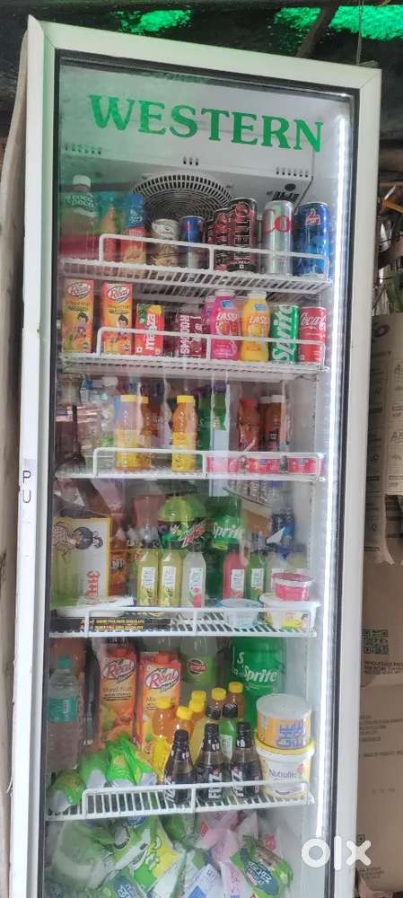 Western Visi cooler 500L