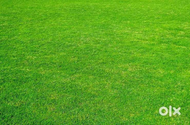 10 kata land 5.5 lakh per kata in dudpatil area