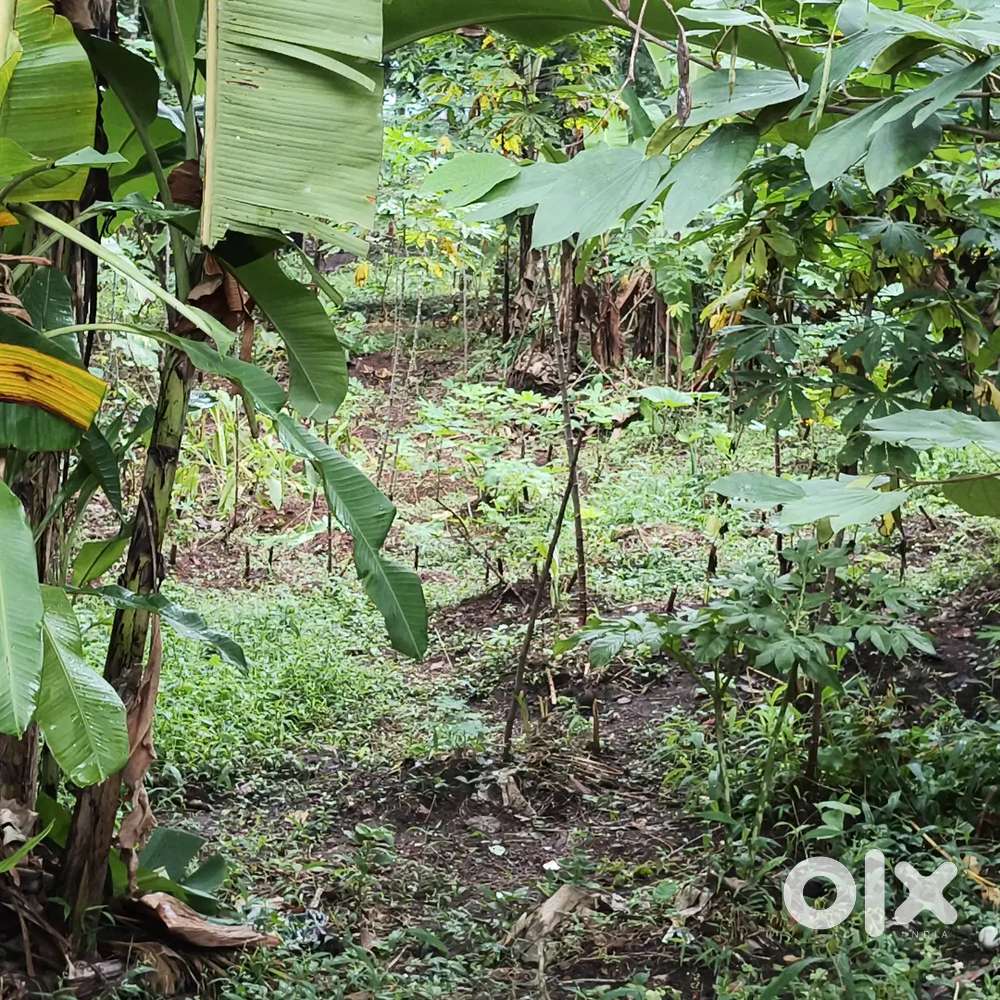 വസ്തു വിൽപ്പനയ്ക്ക്